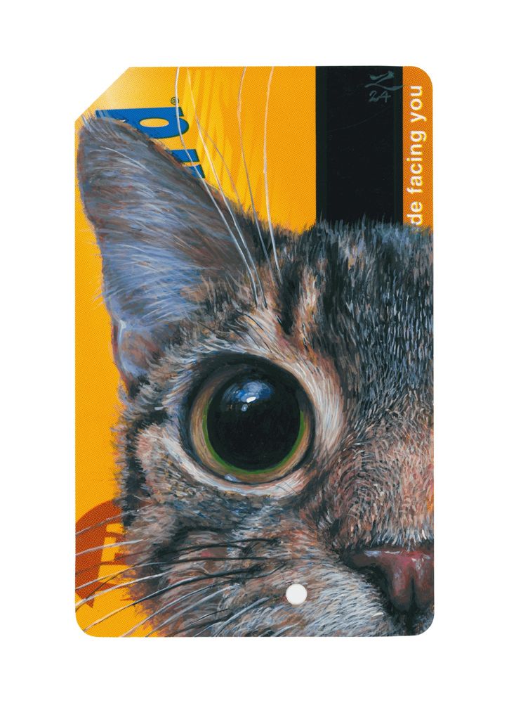 A close-up of a tabby cat with one huge glossy eye, painted on a vertical MetroCard